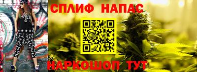 прущие крисы Нарткала