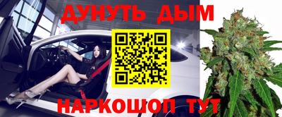 прущие крисы Нарткала