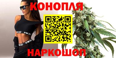 сатива Нальчик