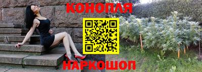 прущие крисы Нарткала