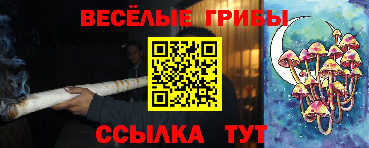 хочу наркоту  Галлюциногенные грибы GOLDEN TEACHER  Вход с VPN  Узловая  Галлюциногенные грибы ЛСД 